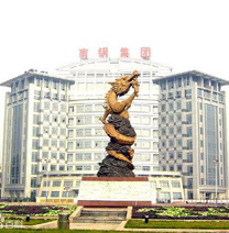 尔悦成功案例-南京钢铁联合有限公司